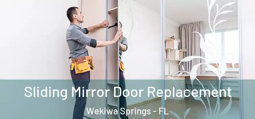  Sliding Mirror Door Replacement Wekiwa Springs - FL