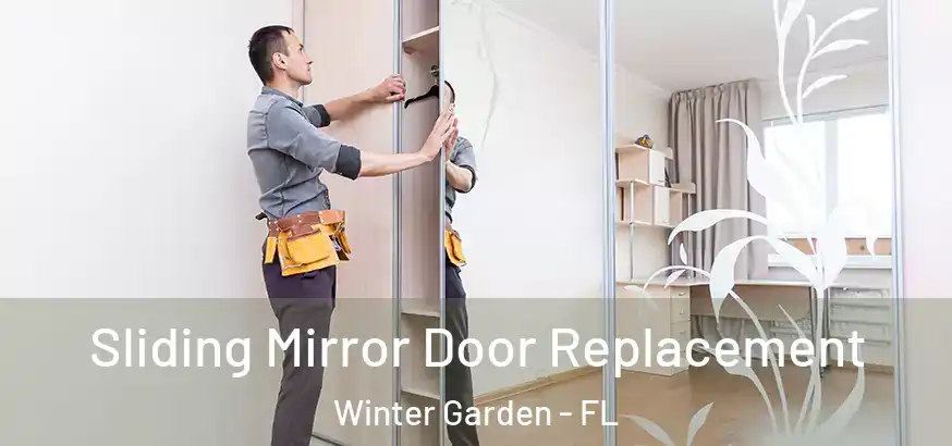  Sliding Mirror Door Replacement Winter Garden - FL