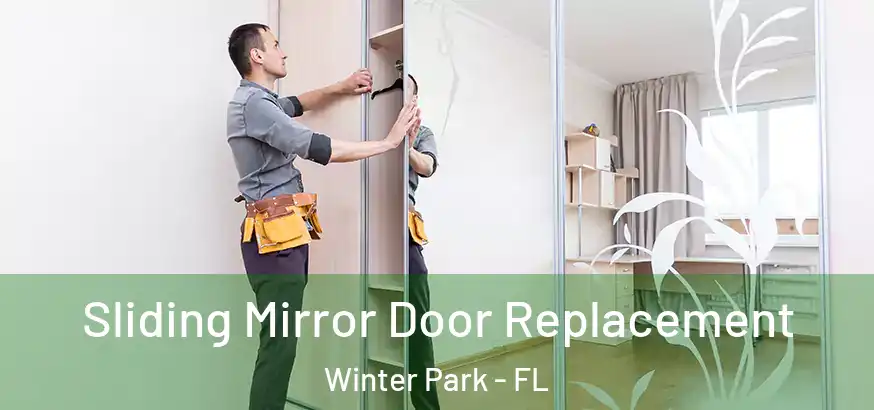  Sliding Mirror Door Replacement Winter Park - FL