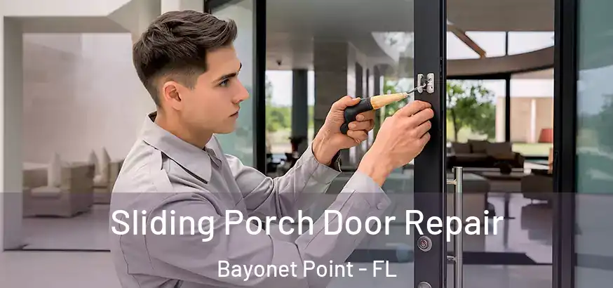  Sliding Porch Door Repair Bayonet Point - FL