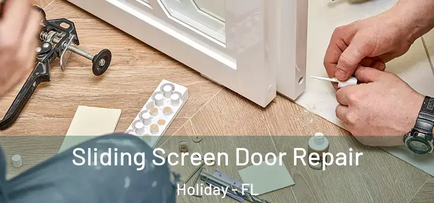  Sliding Screen Door Repair Holiday - FL