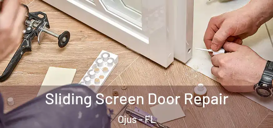  Sliding Screen Door Repair Ojus - FL