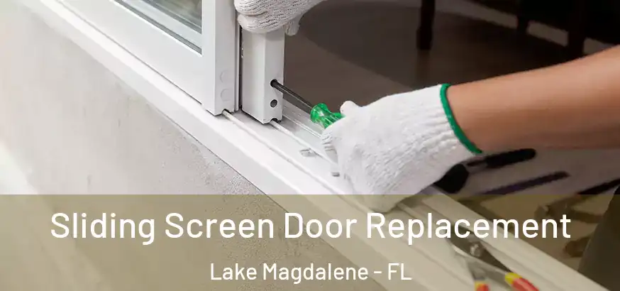 Sliding Screen Door Replacement Lake Magdalene - FL