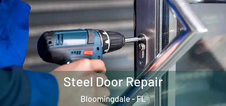  Steel Door Repair Bloomingdale - FL