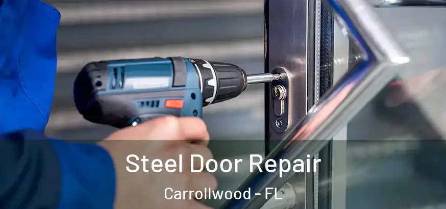  Steel Door Repair Carrollwood - FL