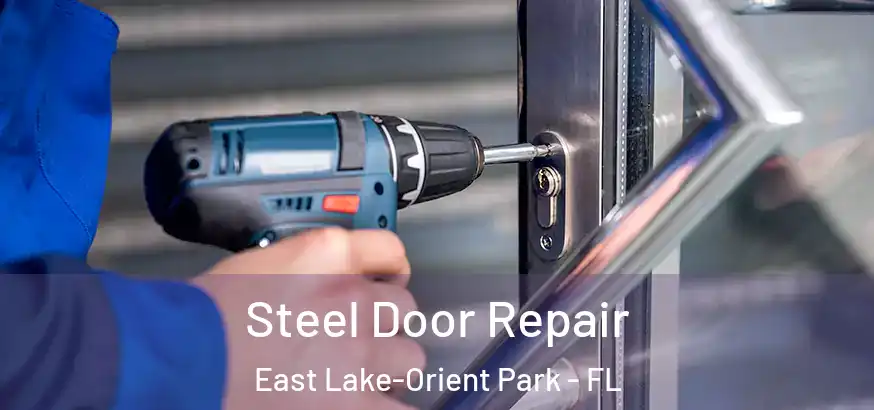  Steel Door Repair East Lake-Orient Park - FL