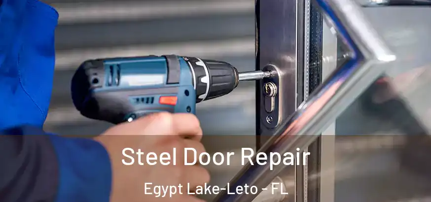  Steel Door Repair Egypt Lake-Leto - FL