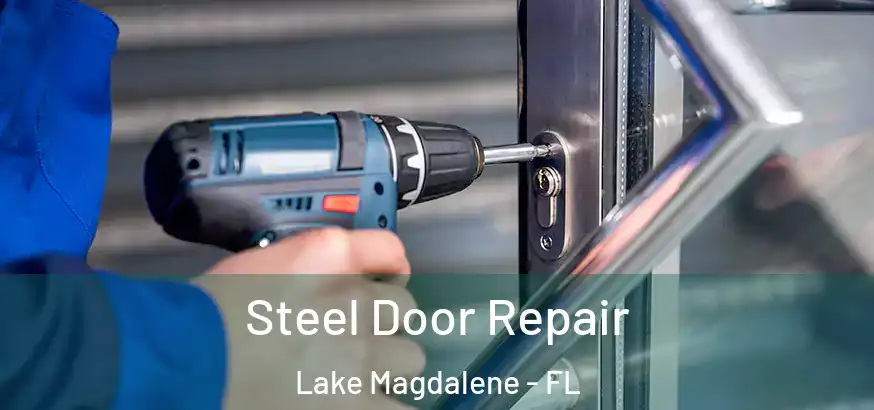  Steel Door Repair Lake Magdalene - FL