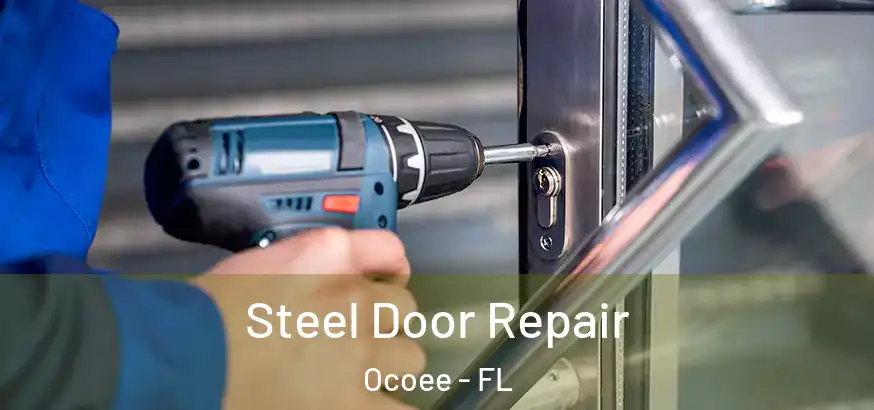  Steel Door Repair Ocoee - FL