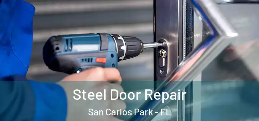  Steel Door Repair San Carlos Park - FL