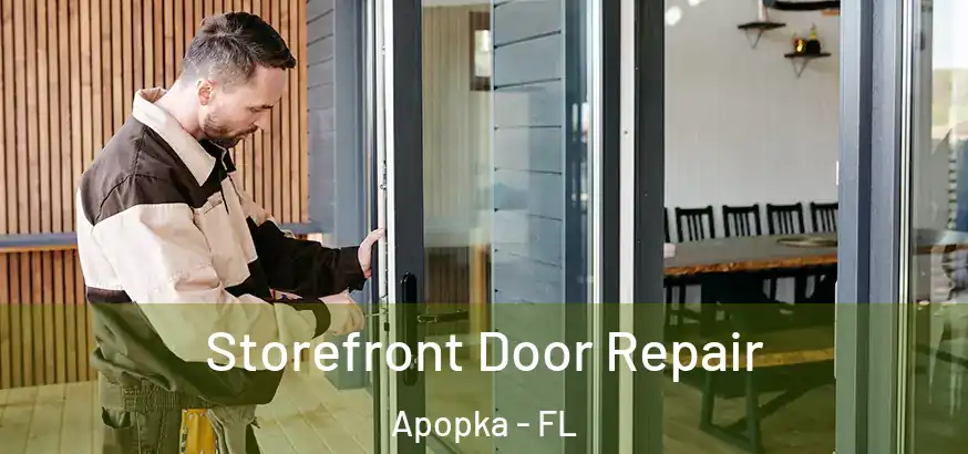  Storefront Door Repair Apopka - FL