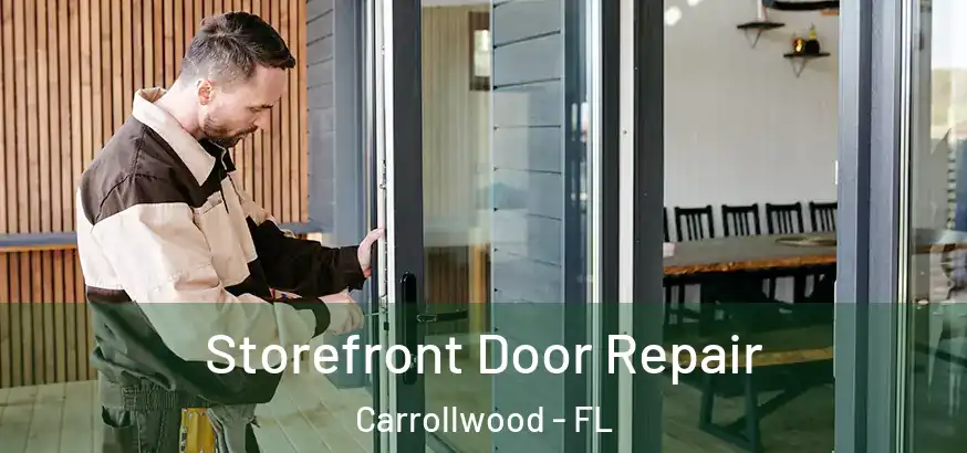 Storefront Door Repair Carrollwood - FL