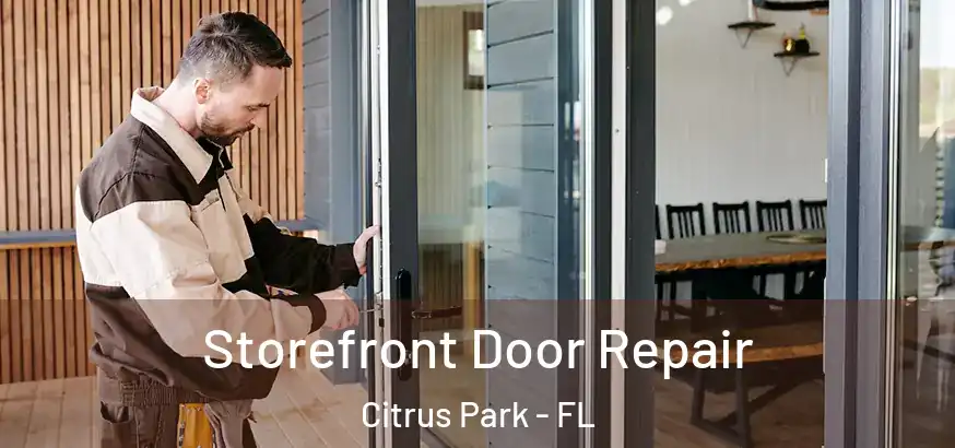Storefront Door Repair Citrus Park - FL