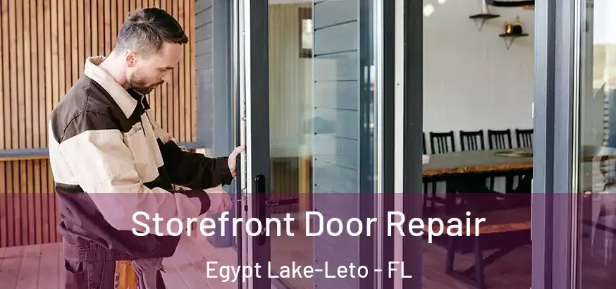 Storefront Door Repair Egypt Lake-Leto - FL