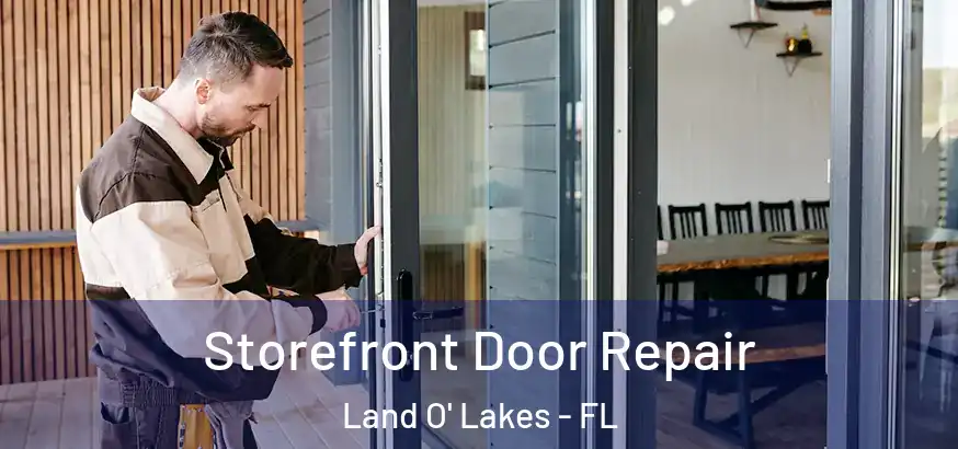  Storefront Door Repair Land O' Lakes - FL
