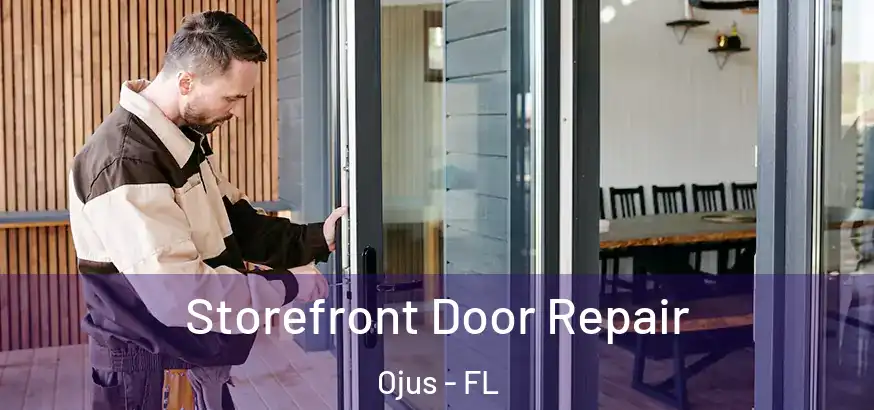  Storefront Door Repair Ojus - FL