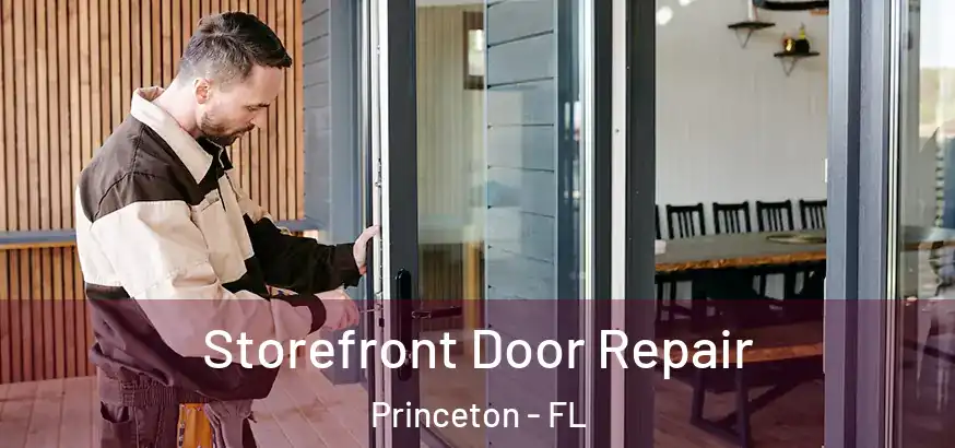  Storefront Door Repair Princeton - FL