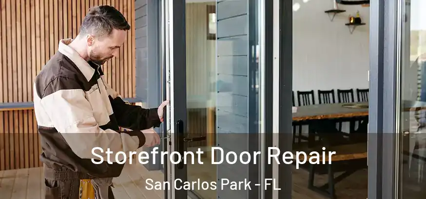  Storefront Door Repair San Carlos Park - FL