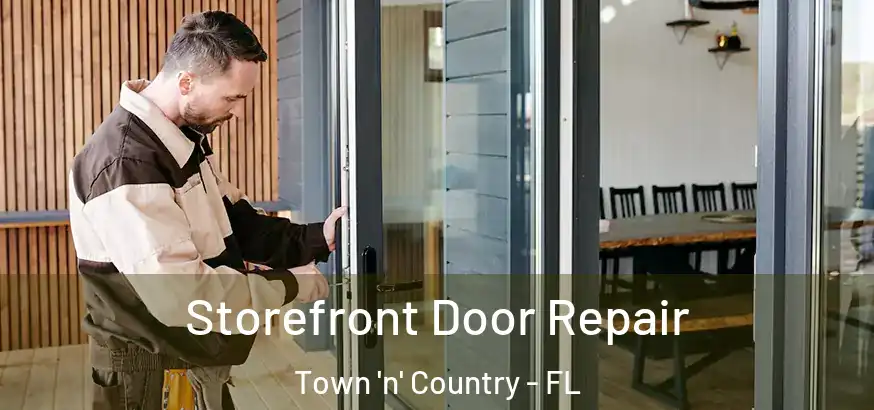  Storefront Door Repair Town 'n' Country - FL