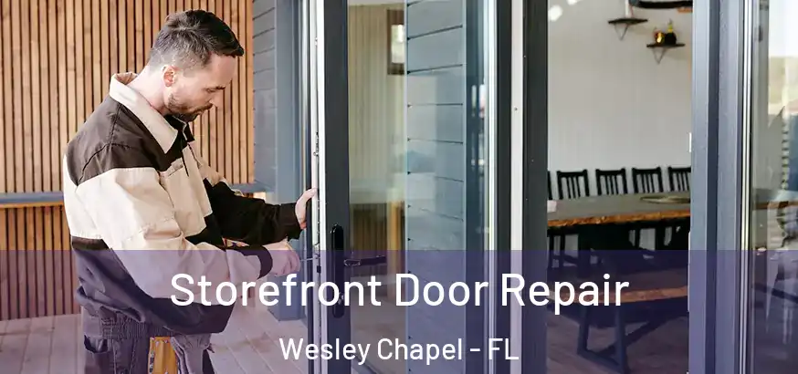  Storefront Door Repair Wesley Chapel - FL