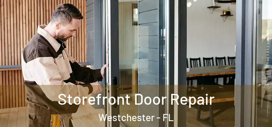 Storefront Door Repair Westchester - FL