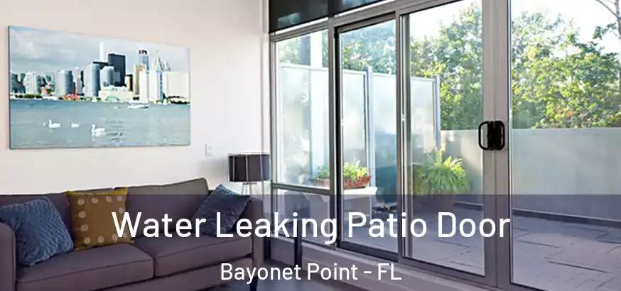  Water Leaking Patio Door Bayonet Point - FL