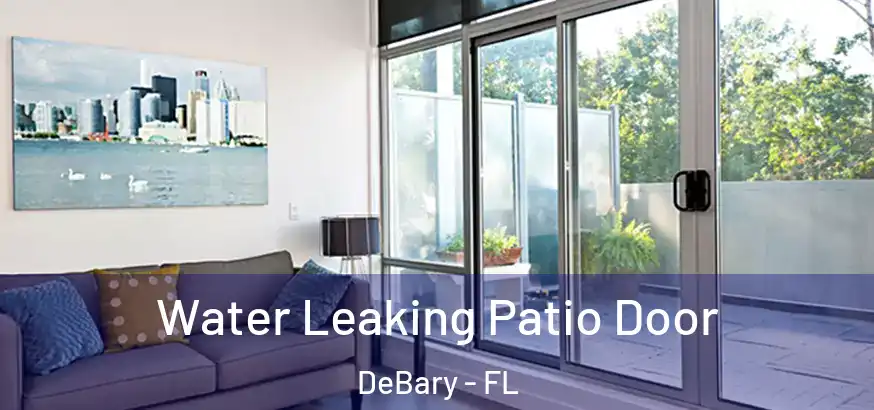 Water Leaking Patio Door DeBary - FL