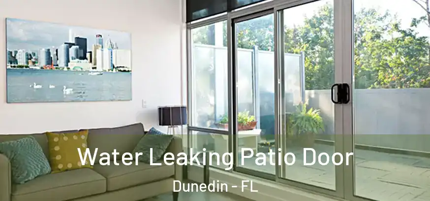  Water Leaking Patio Door Dunedin - FL