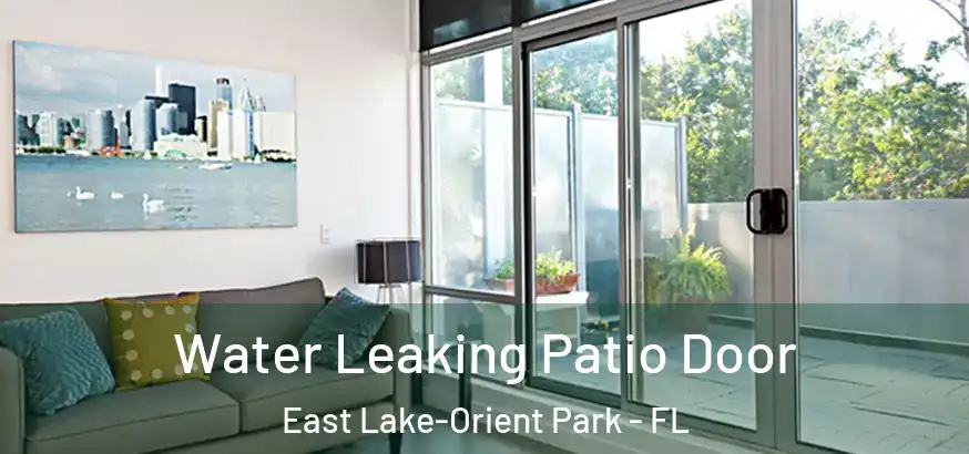 Water Leaking Patio Door East Lake-Orient Park - FL