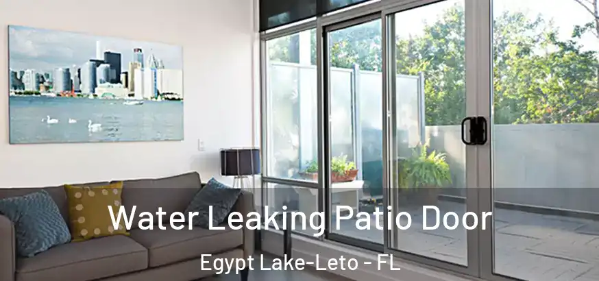  Water Leaking Patio Door Egypt Lake-Leto - FL