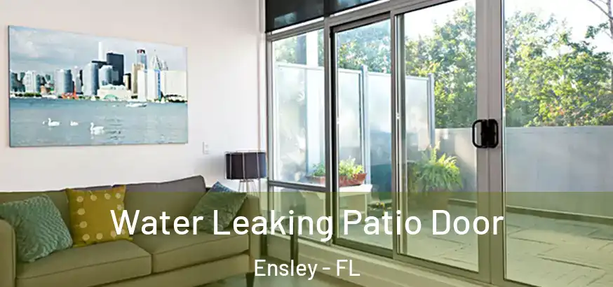Water Leaking Patio Door Ensley - FL