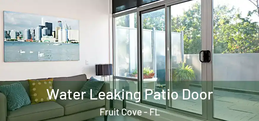  Water Leaking Patio Door Fruit Cove - FL