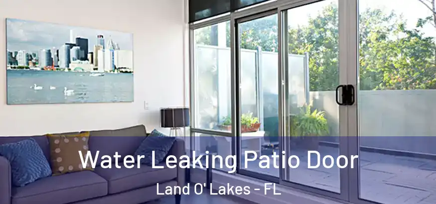  Water Leaking Patio Door Land O' Lakes - FL