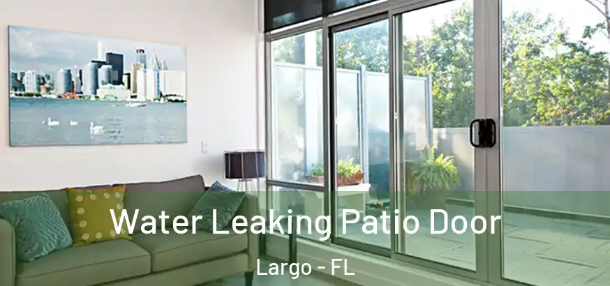  Water Leaking Patio Door Largo - FL