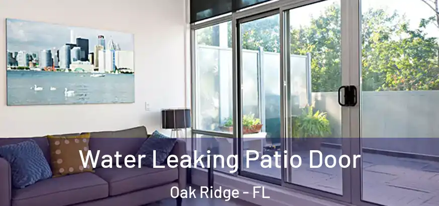  Water Leaking Patio Door Oak Ridge - FL