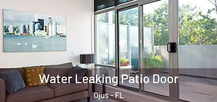  Water Leaking Patio Door Ojus - FL