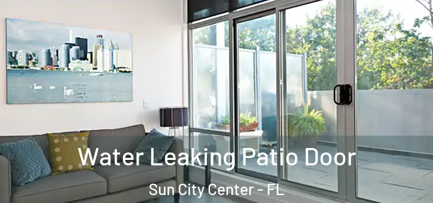  Water Leaking Patio Door Sun City Center - FL
