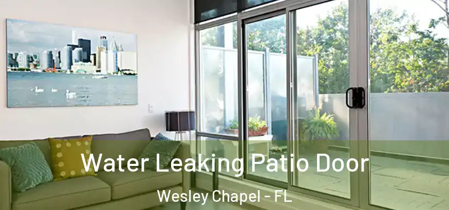  Water Leaking Patio Door Wesley Chapel - FL