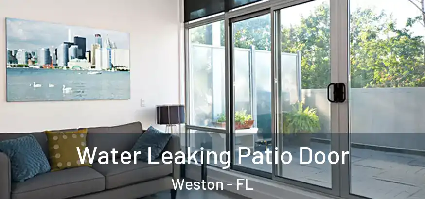 Water Leaking Patio Door Weston - FL