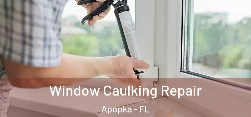  Window Caulking Repair Apopka - FL