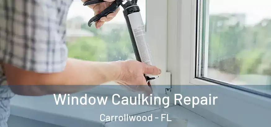  Window Caulking Repair Carrollwood - FL