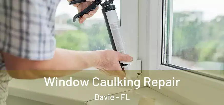  Window Caulking Repair Davie - FL