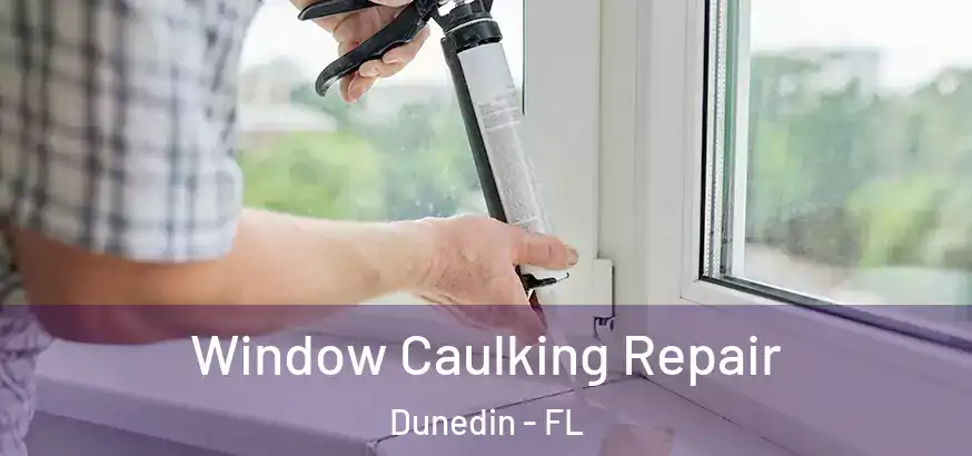  Window Caulking Repair Dunedin - FL