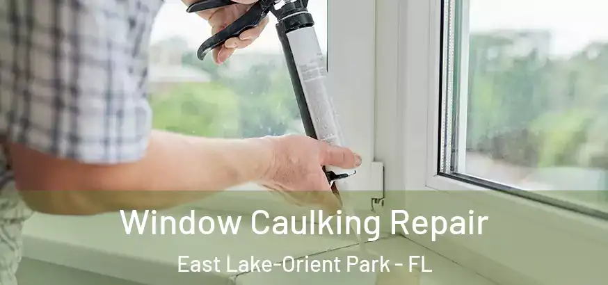  Window Caulking Repair East Lake-Orient Park - FL