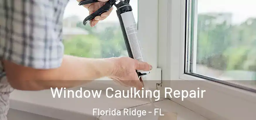  Window Caulking Repair Florida Ridge - FL