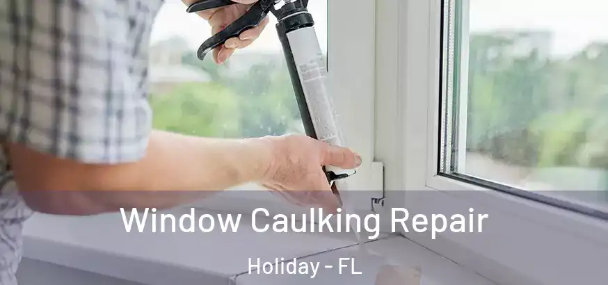  Window Caulking Repair Holiday - FL