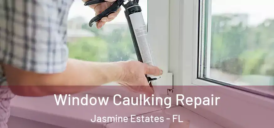  Window Caulking Repair Jasmine Estates - FL