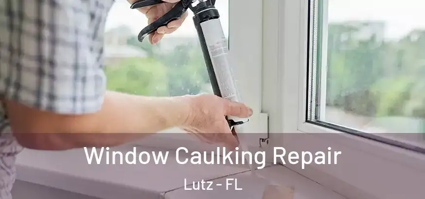  Window Caulking Repair Lutz - FL