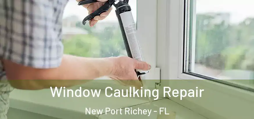  Window Caulking Repair New Port Richey - FL