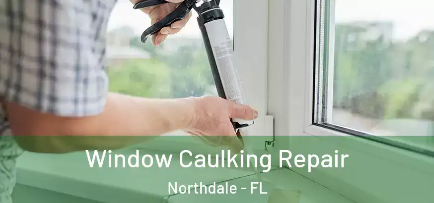 Window Caulking Repair Northdale - FL
